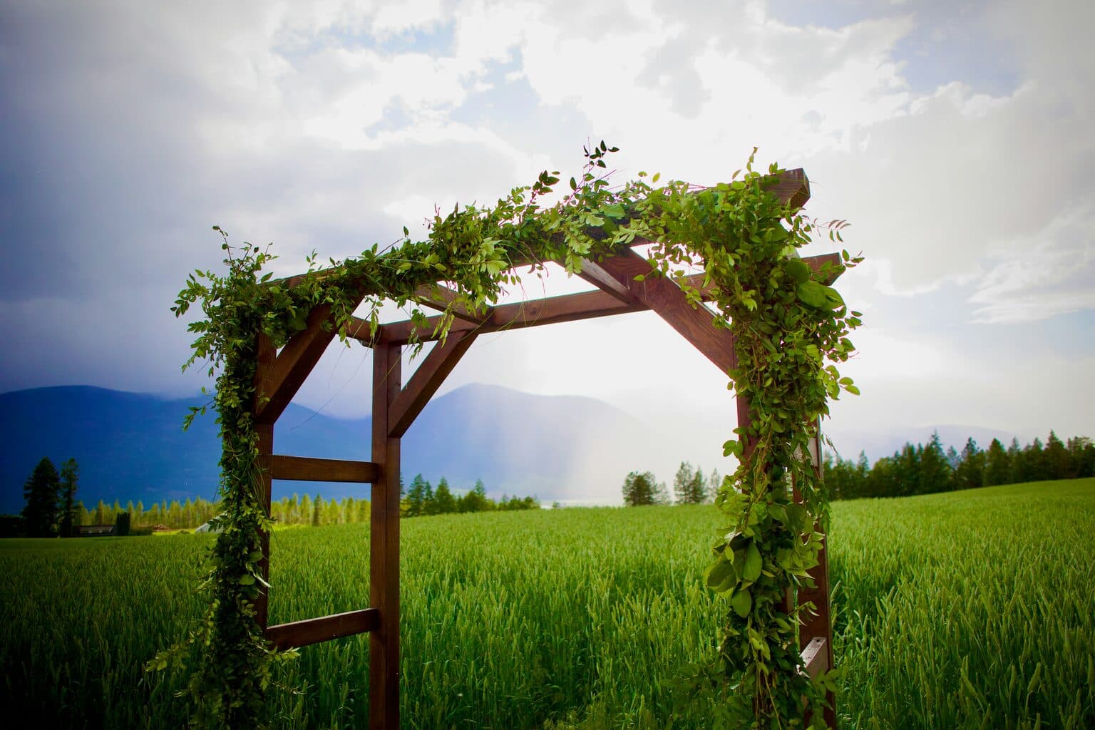 Arch & Backdrop Florals before