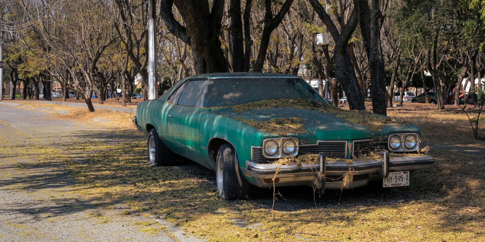 Classic Car Restoration before