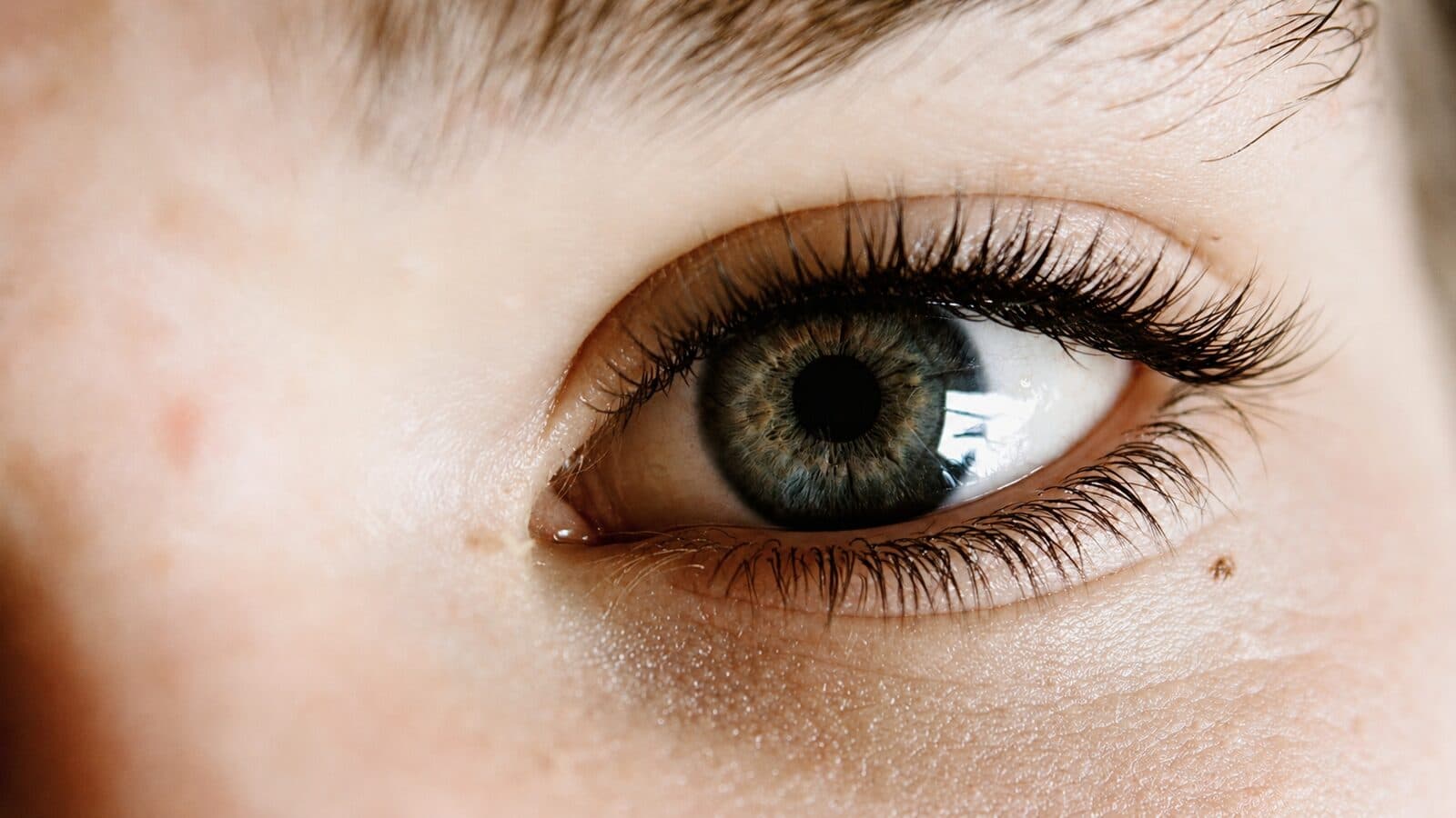 Classic Lash Preview after