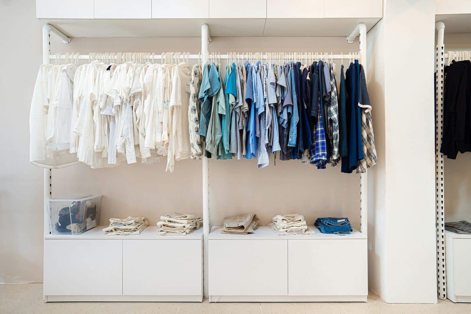 Closet Organization before
