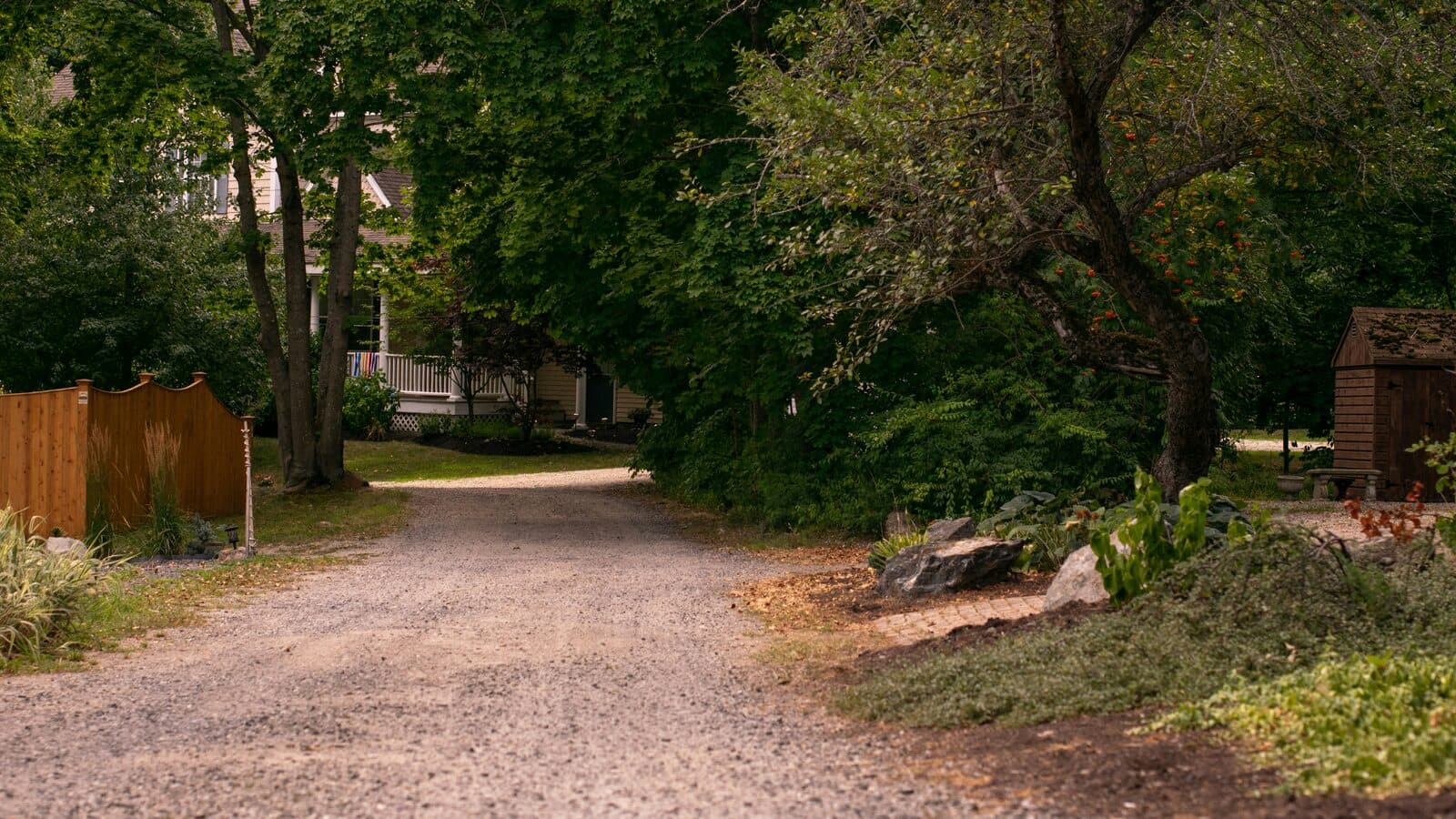 Driveway Cleaning Preview before