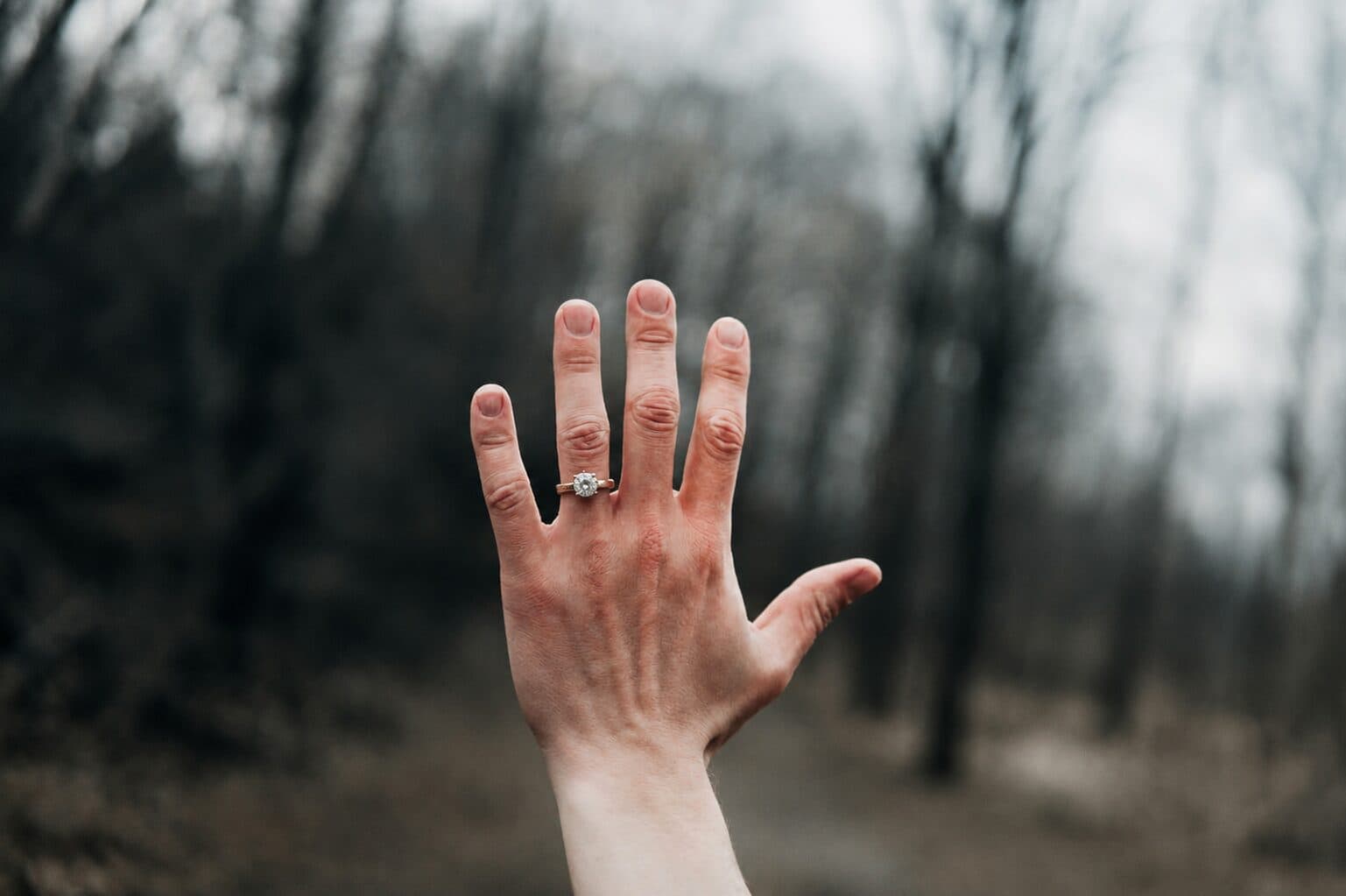 Engagement Ring Preview after