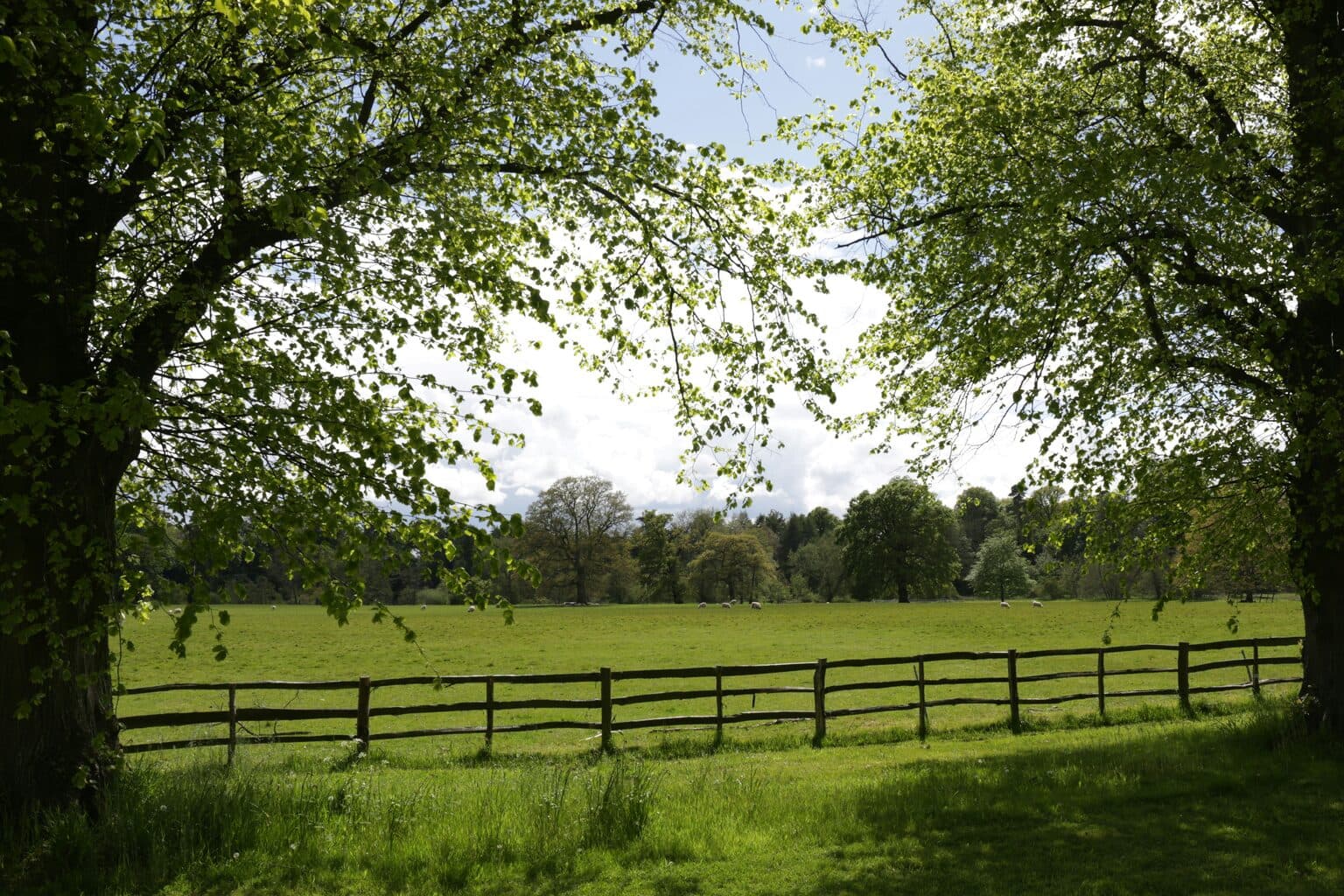 Fence Design before