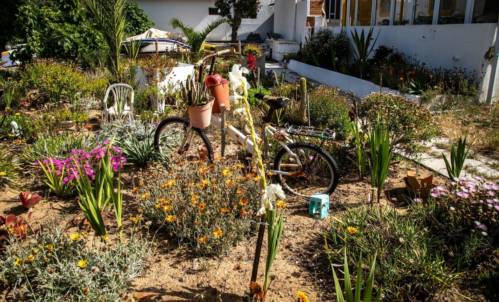 Garden Design before