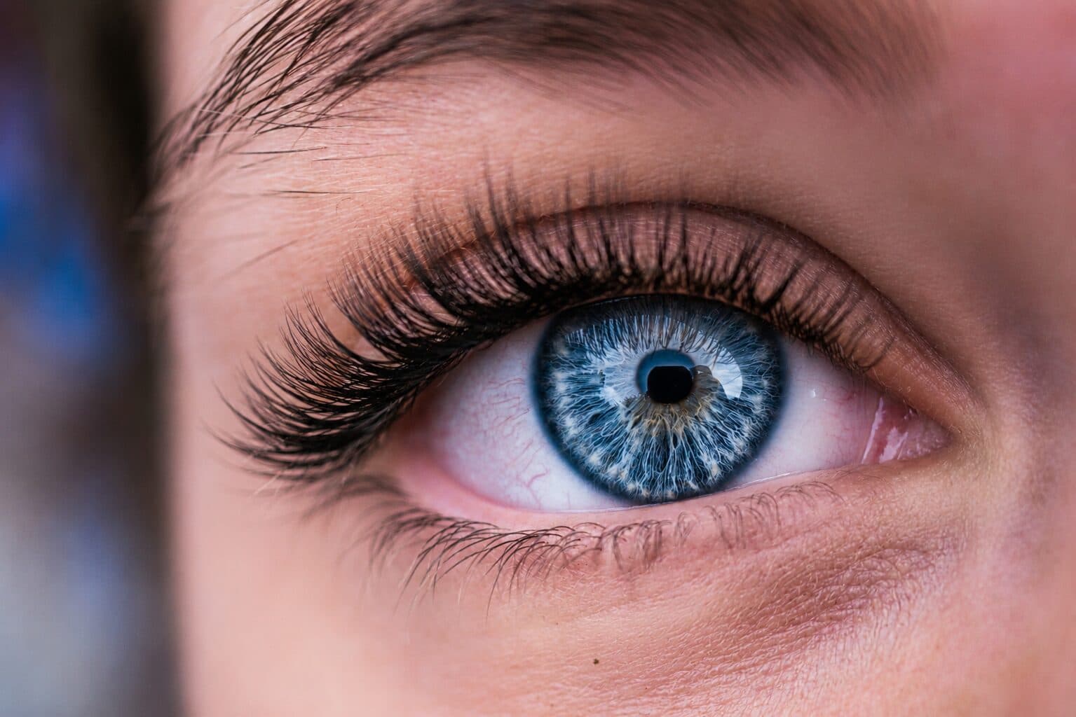 Hybrid Lash Preview after